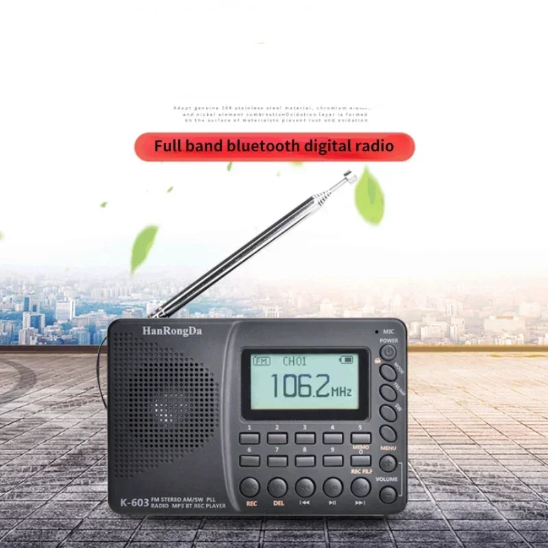 Portable Digital Radio with Bluetooth Speaker