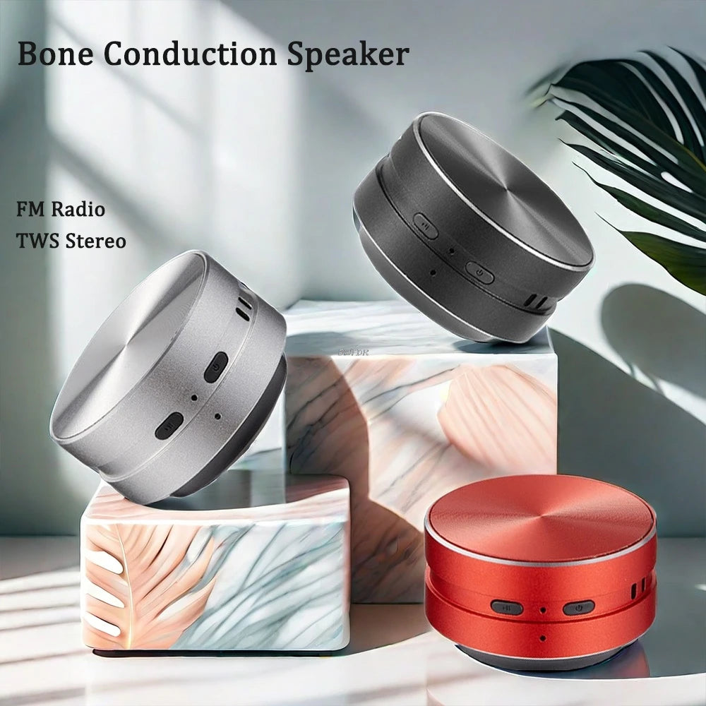 2025 New Bone Conduction Bluetooth Speaker TWS Wireless 3D Stereo Sound Hummingbird Speaker With FM Radio