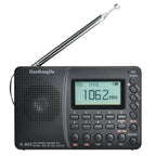 Portable Digital Radio with Bluetooth Speaker
