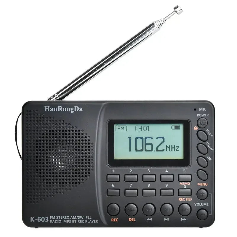 Portable Digital Radio with Bluetooth Speaker