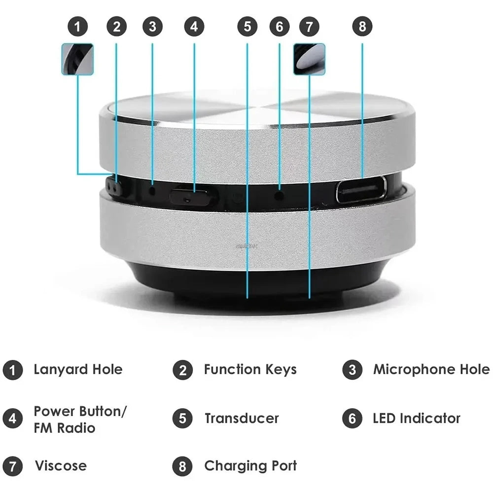 2025 New Bone Conduction Bluetooth Speaker TWS Wireless 3D Stereo Sound Hummingbird Speaker With FM Radio