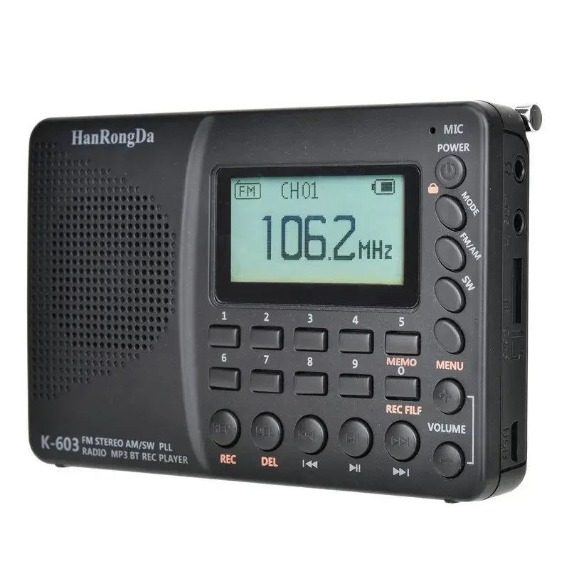 Portable Digital Radio with Bluetooth Speaker