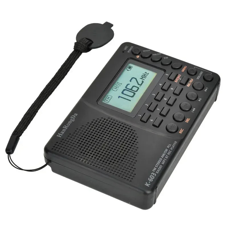 Portable Digital Radio with Bluetooth Speaker