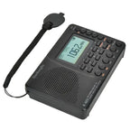 Portable Digital Radio with Bluetooth Speaker